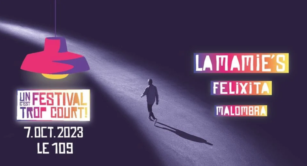 Un Festival C'est Trop Court! - La NUIT électrique